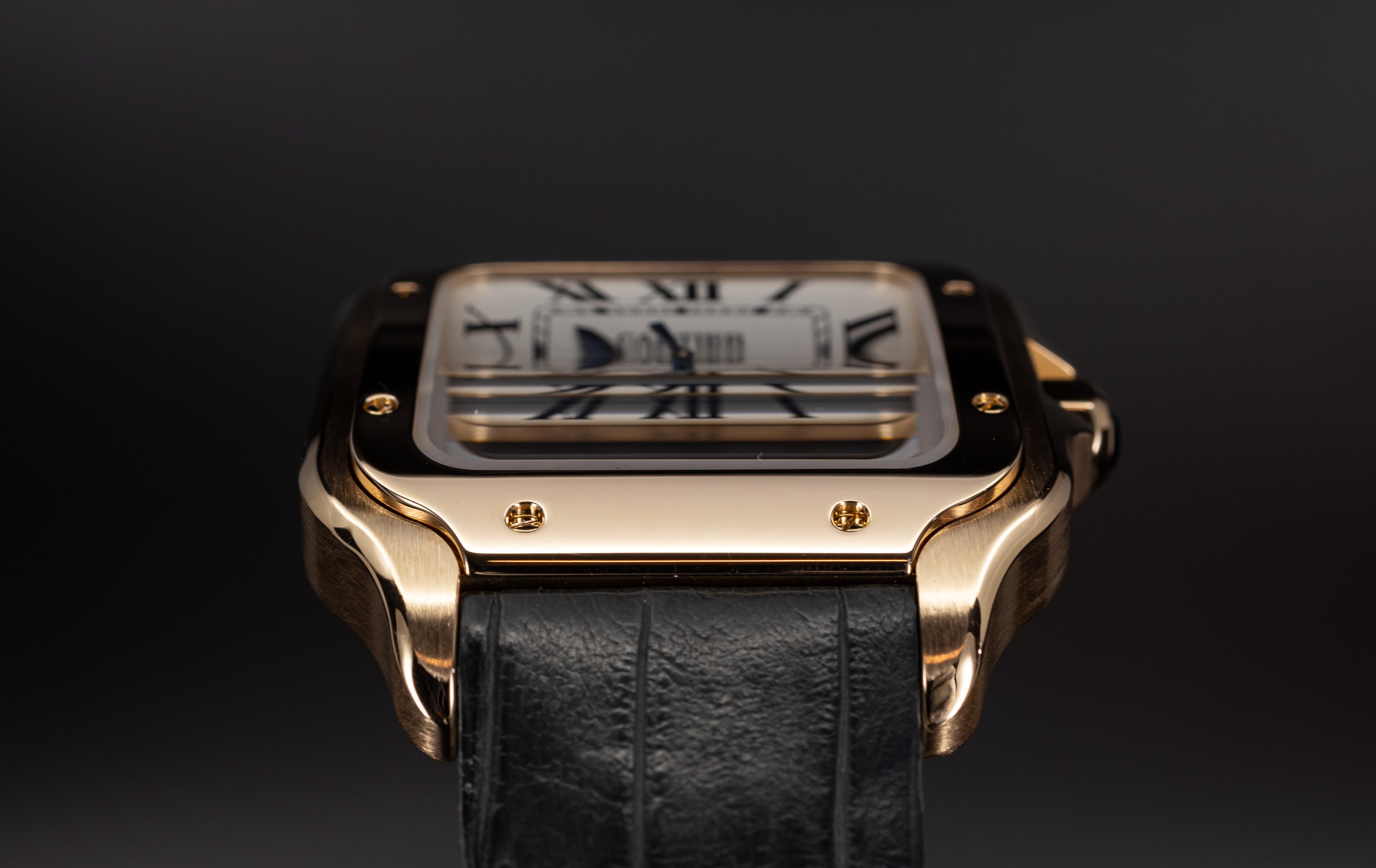 Cartier Santos de Cartier WGSA0011 bottom lugs