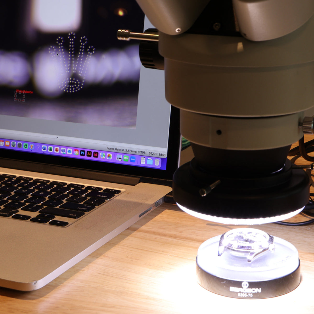 forensic authentication of a luxury watch featuring a microscopic inspection of a Rolex with its laster etched coronet visible